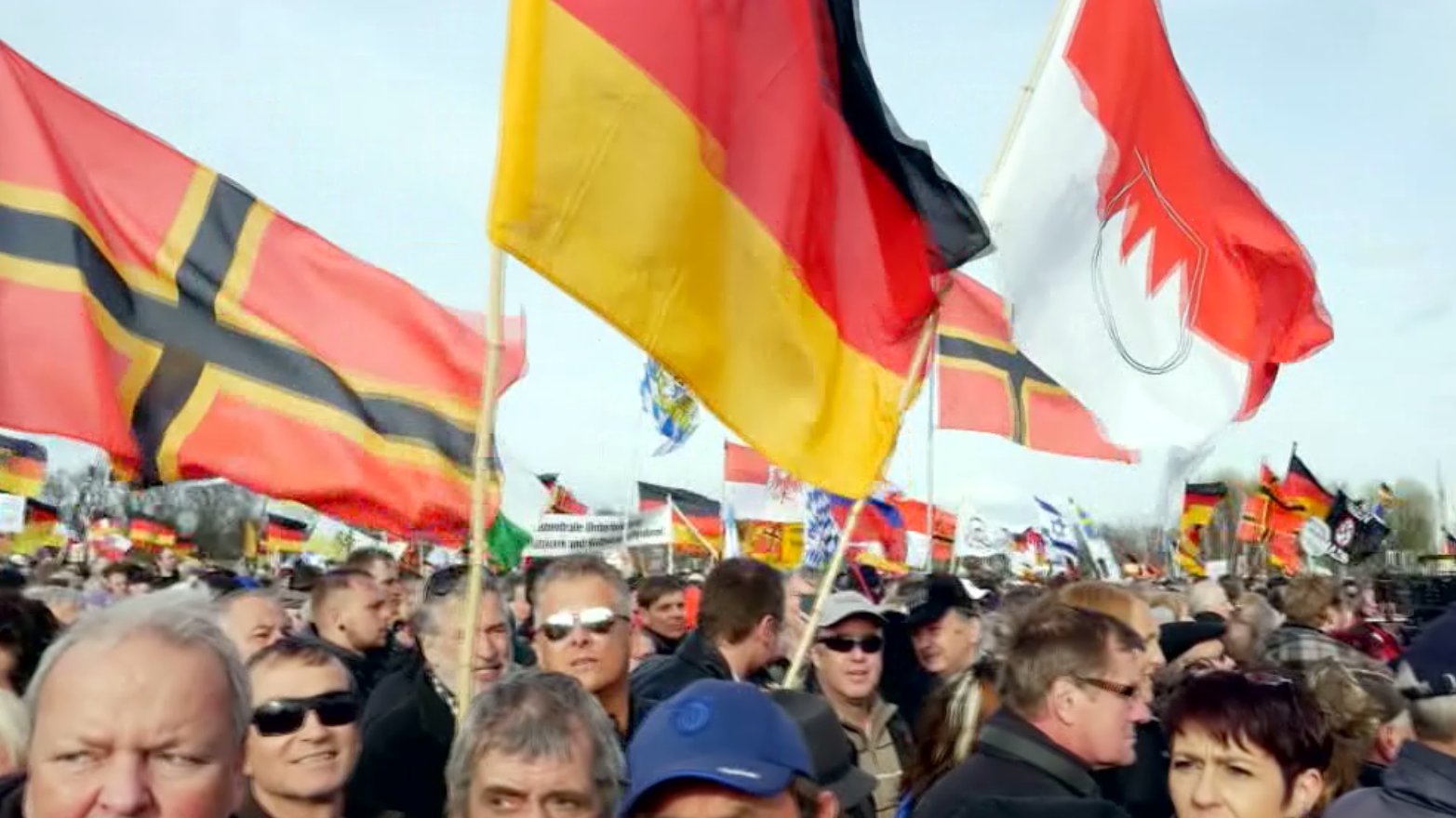 Flaggen auf einer rechten Demonstration, 2016.