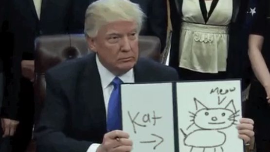 Twitter-Meme: Donald Trump malt Kätzchen