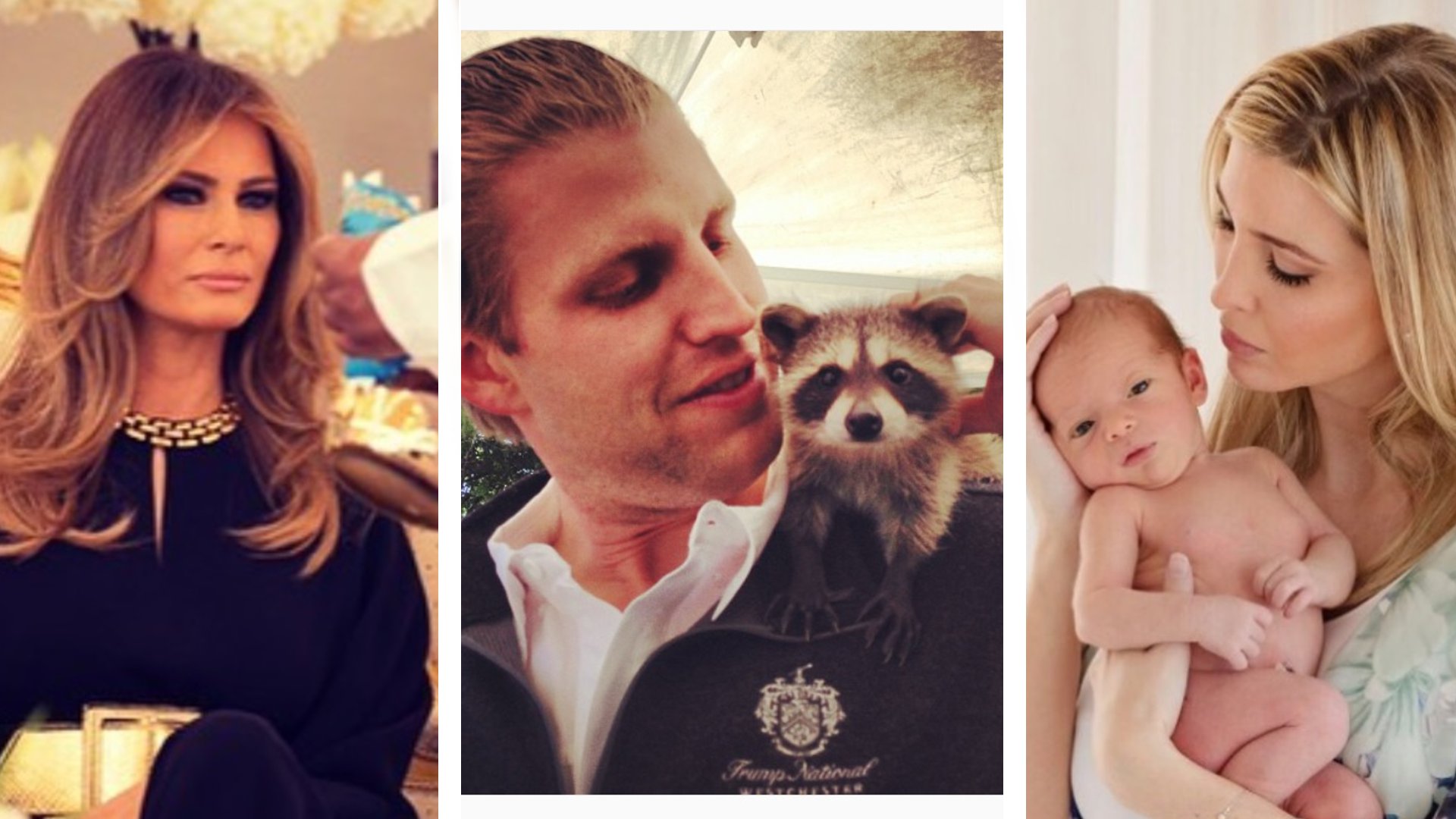 Katzen, Babys, Emojis: So zeigt sich Familie Trump auf Instagram