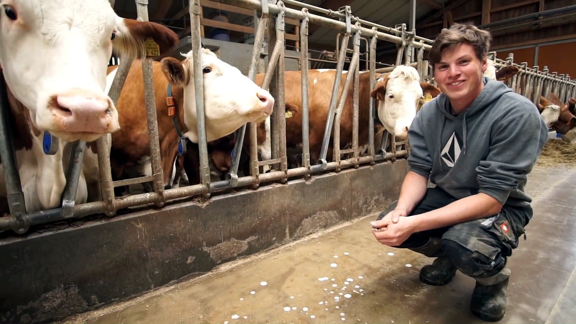 dbate - VTB - Junge Landwirte_Joanthan mit Kühen